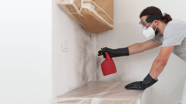 Professional Mold Removal technician working in Westphalia, MI